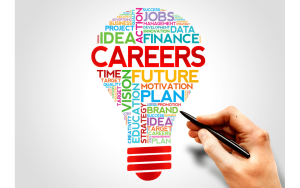 Ideal Career